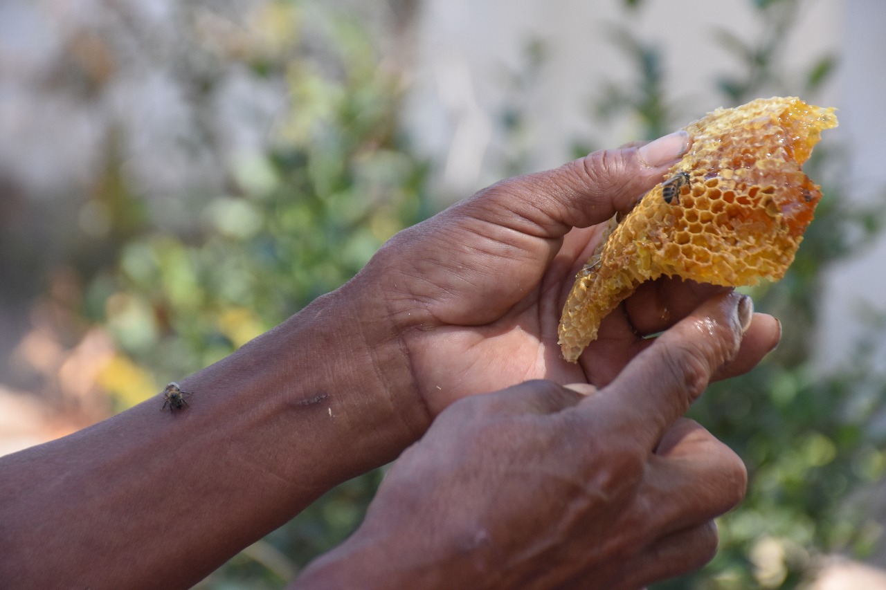 Alcaldía respalda a productores tarijeños en el encuentro nacional de apicultores en Santa Cruz