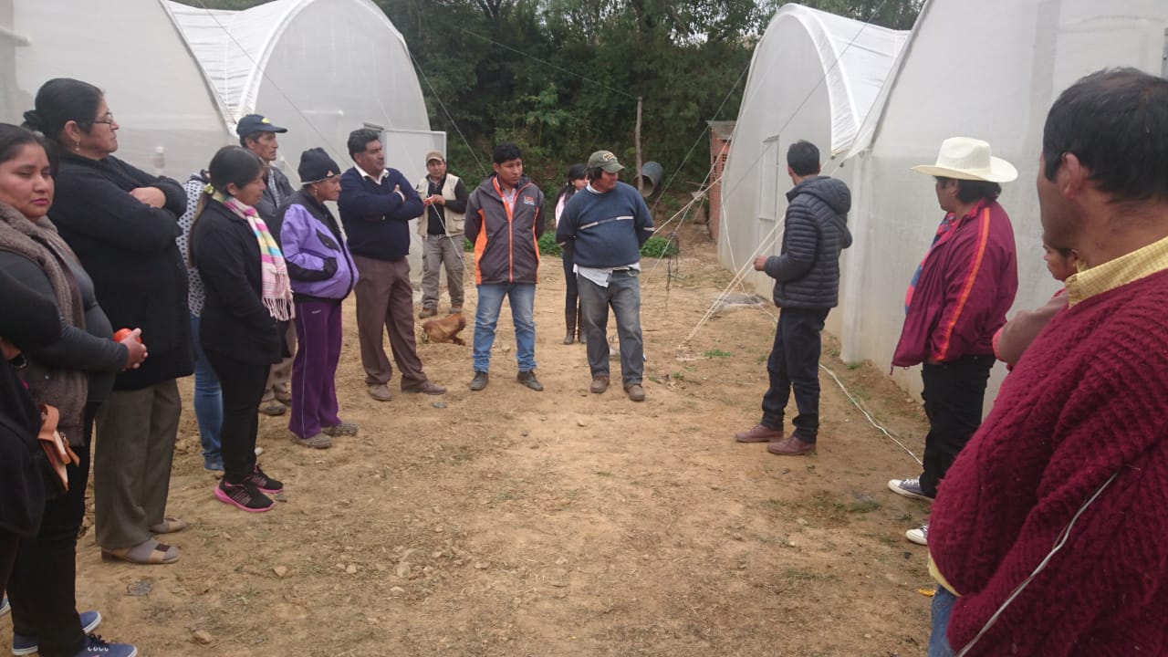 En Pampa Redonda aplican  proyecto de invernaderos