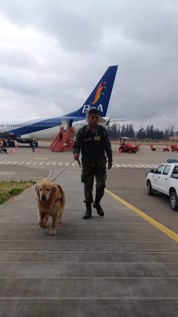 Cuatro canes luchan contra  el narcotráfico en Tarija