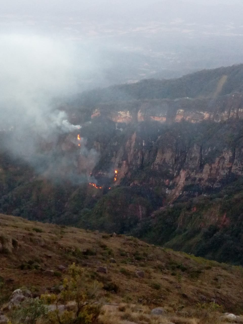 Reportan incendio de magnitud en el parque nacional Aguaragüe de Tarija (FOTOS)