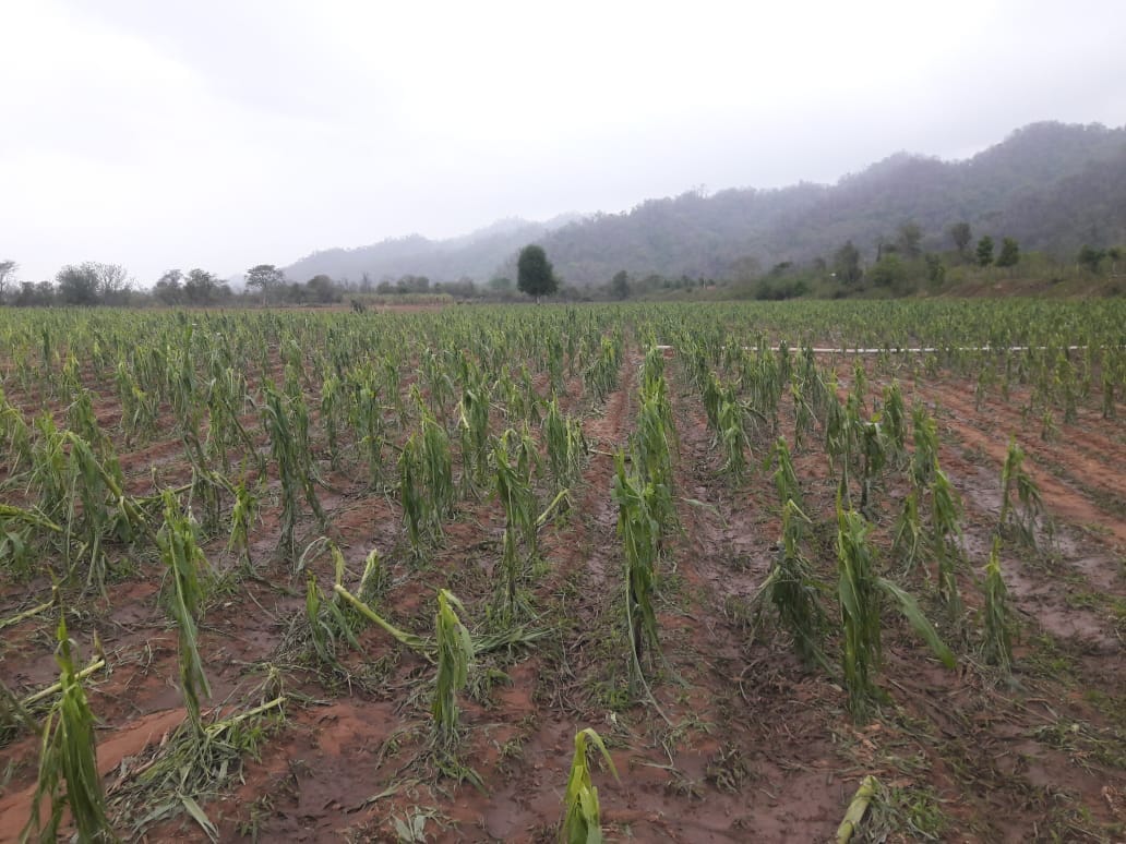 Lluvia y granizo dejó afectadas a 37 familias en el municipio de Carapari.