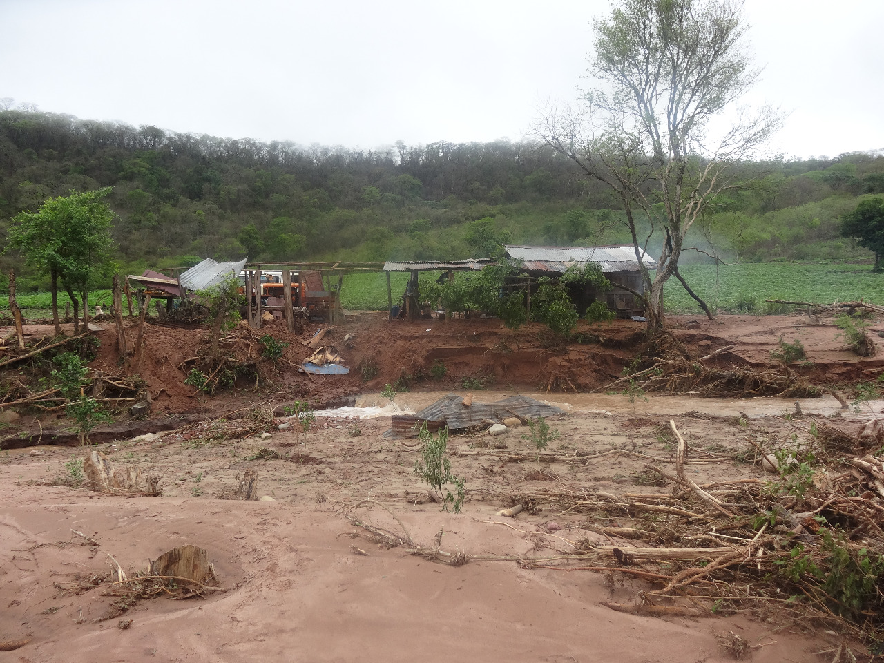 Lluvia y riadas en Caraparí afectaron cultivos, viviendas y causaron mortandad de animales