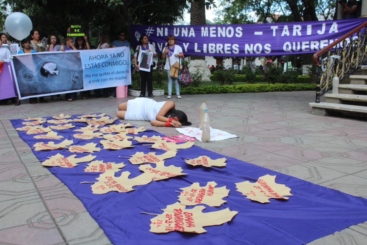 Doce mujeres fueron víctimas de feminicido en Tarija