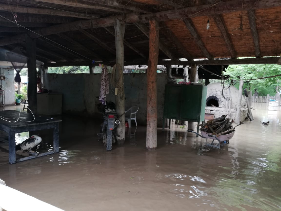 D'orbigni y Cutaiqui afectados por el desborde del río Pilcomayo (FOTOS)