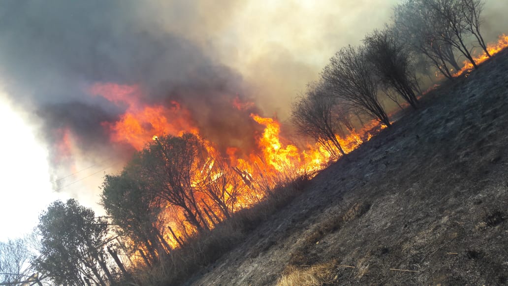 Fuego consumió 5 hectáreas de pastizales en San Mateo-Tarija