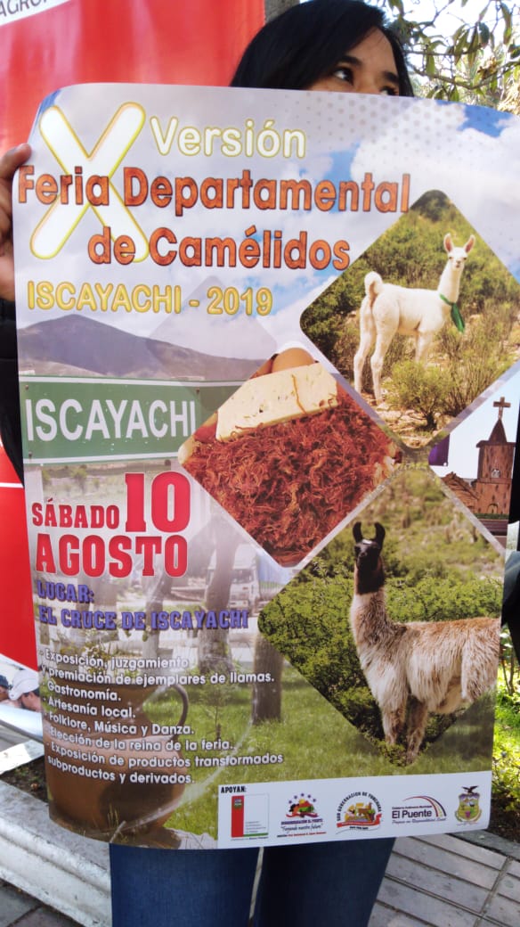 Iscayachi promociona su feria de camélidos en Tarija