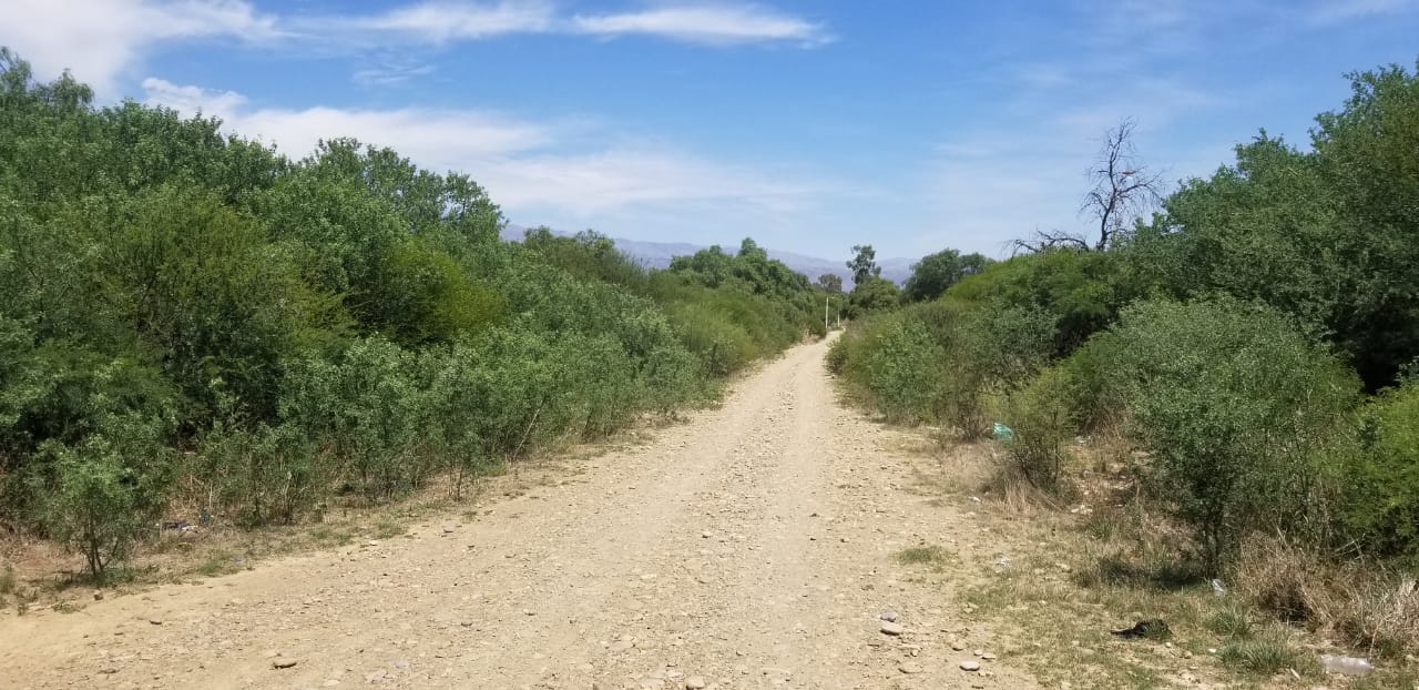 Tarija: Prevén asfaltar vía entre San Gerónimo y San Luis