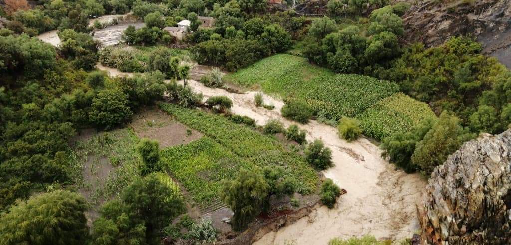 El 80% de la producción de Paicho en Tarija se pierde por la riada