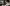 Tarija: Advierten uso de IA para adulterar fotos y extorsionar a mujeres 