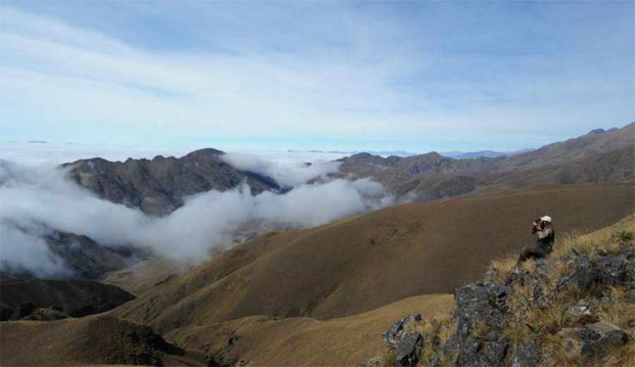 Reserva Biológica de la Cordillera de Sama