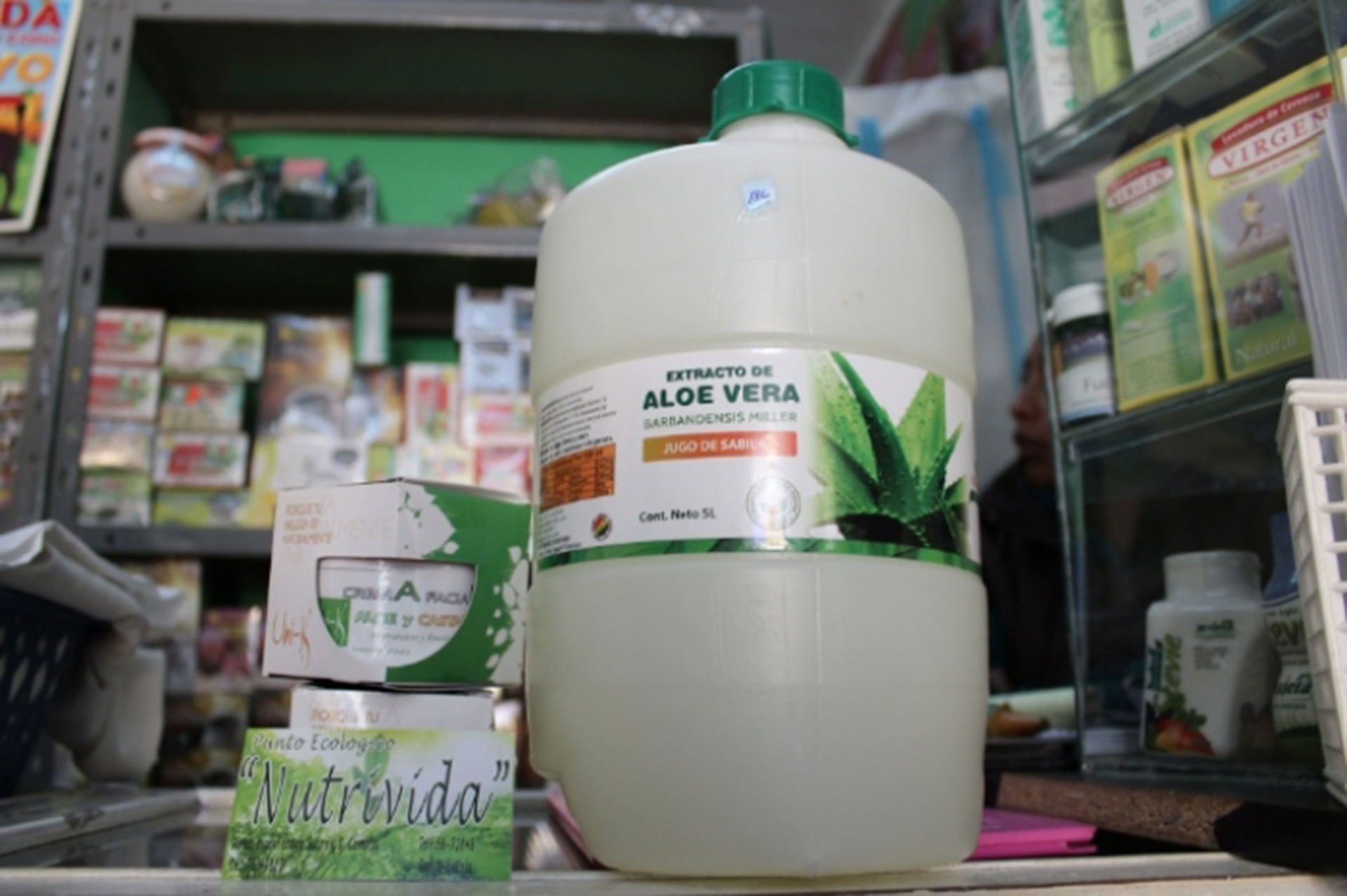 Los usos que le dan los tarijeos al aloe vera y sus contraindicaciones