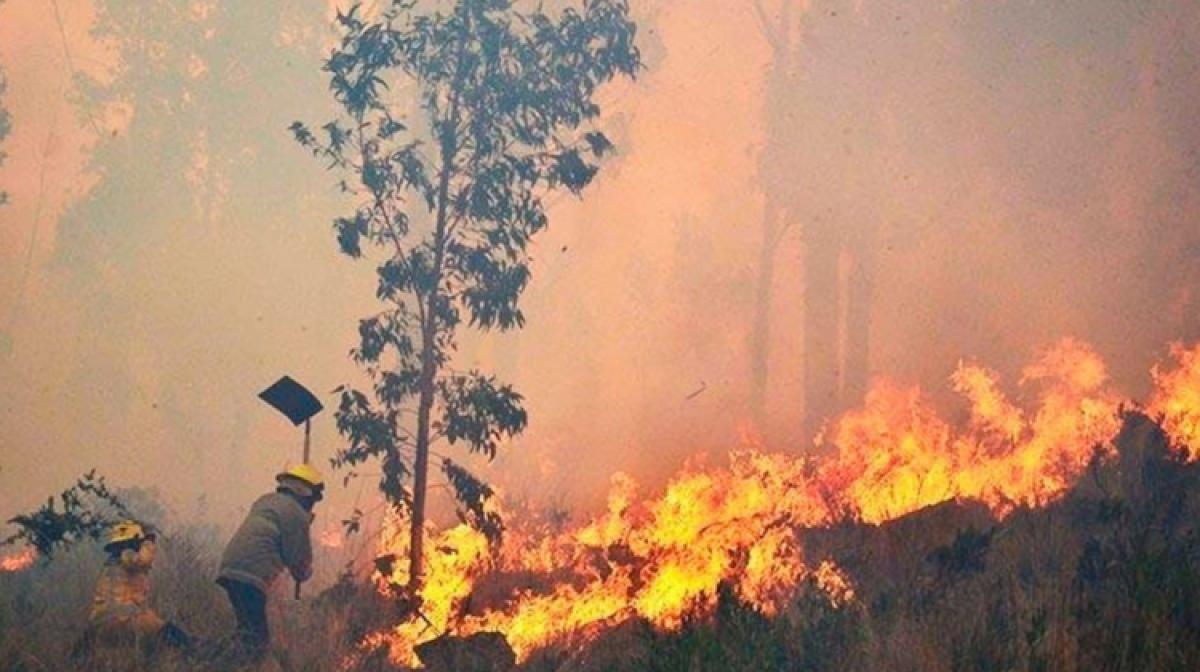 Gobierno: se sofocó 60% de incendios en la Chiquitanía