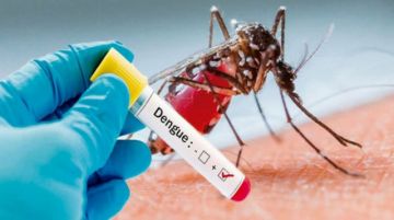 Disminuyen los casos de dengue en Tarija, a la fecha se reporta 2.272 confirmados
