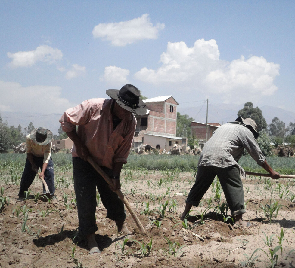 INRA tituló 2,5 millones de hectáreas de tierras en Tarija en los últimos 12 años
