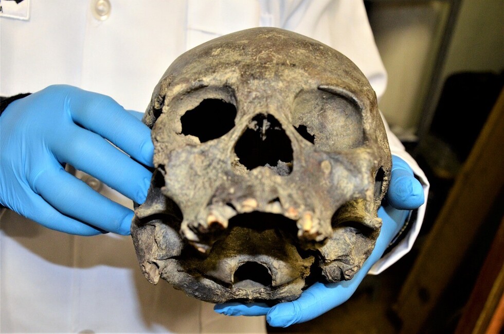 Realizan la reconstrucción facial de cráneos tiwanakotas