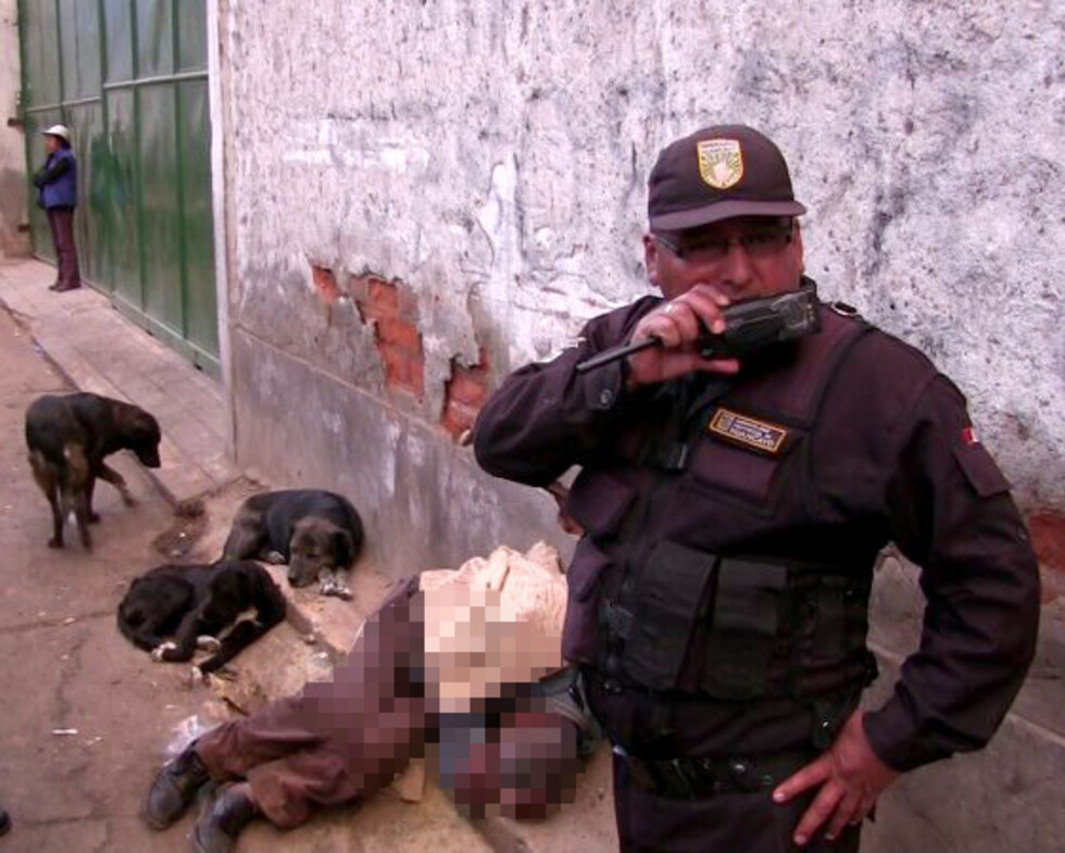 Murió en su patio y sus perros se lo comieron