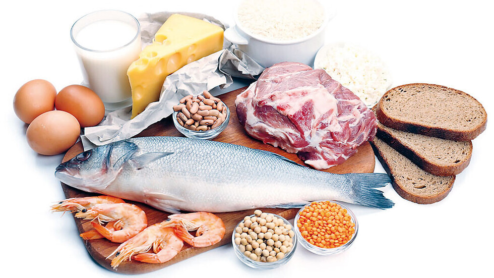 Nutrientes  básicos  en la dieta