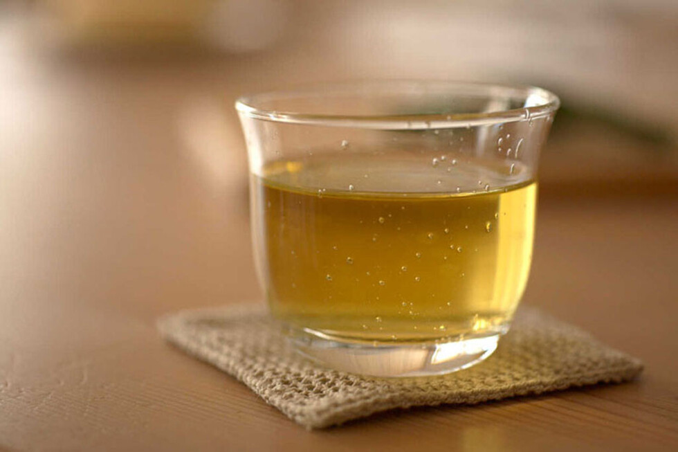 Propiedades del té de boldo