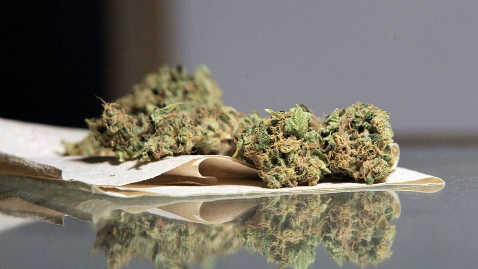Secuestran más de 151 kg de marihuana en Oruro