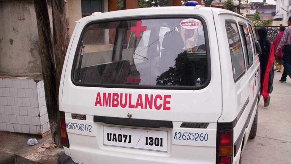 Muere tras enterrarse en excrementos de vaca