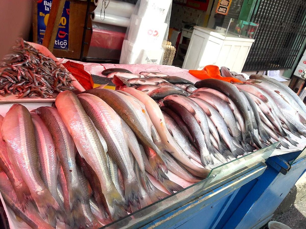 Mejores condiciones, el pedido  de las vendedoras de pescado