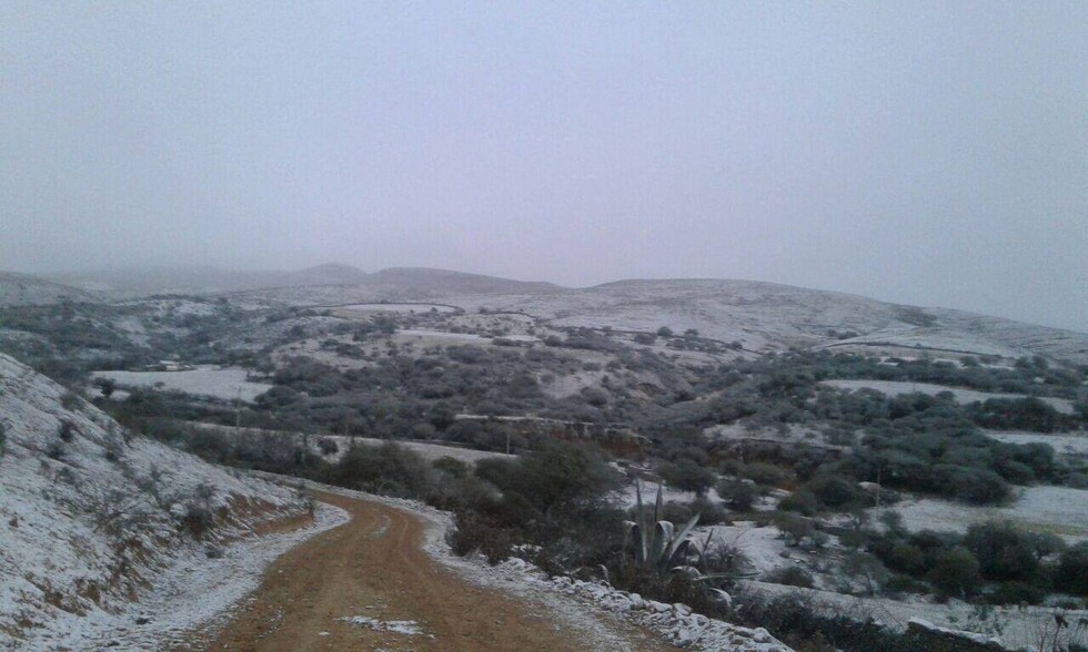 Senamhi pronostica frío intenso y descenso brusco de temperaturas en Tarija