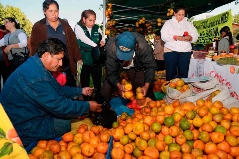 Sectores extractivos: menos empleo, de baja calidad y por poco tiempo