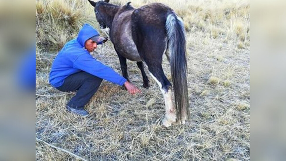 Lo mataron y arrastraron su cuerpo con un caballo