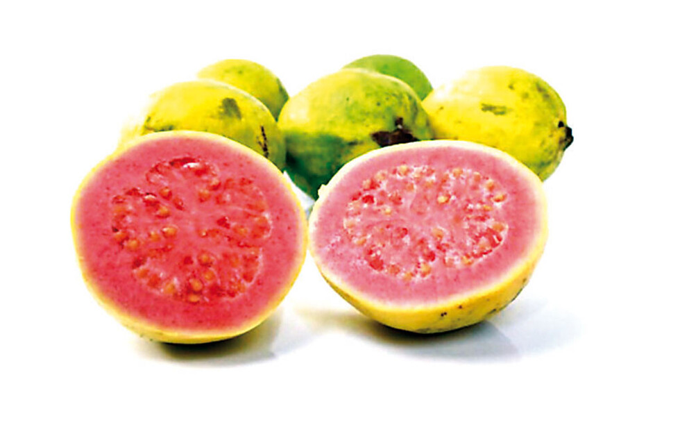 La guayaba en la salud ocular