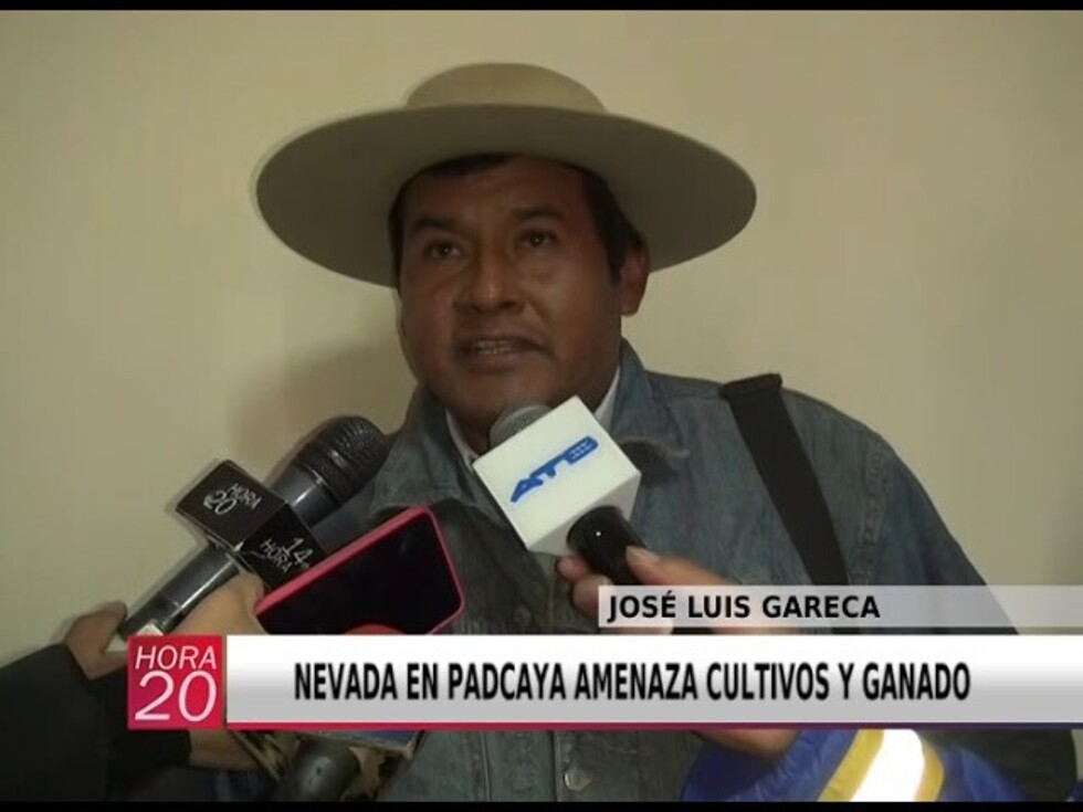 Nevada en Padcaya amenaza cultivos y ganado