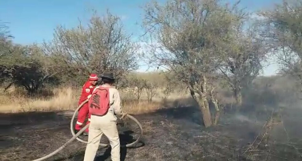 Bomberos  controlaron  quema de  pastizales
