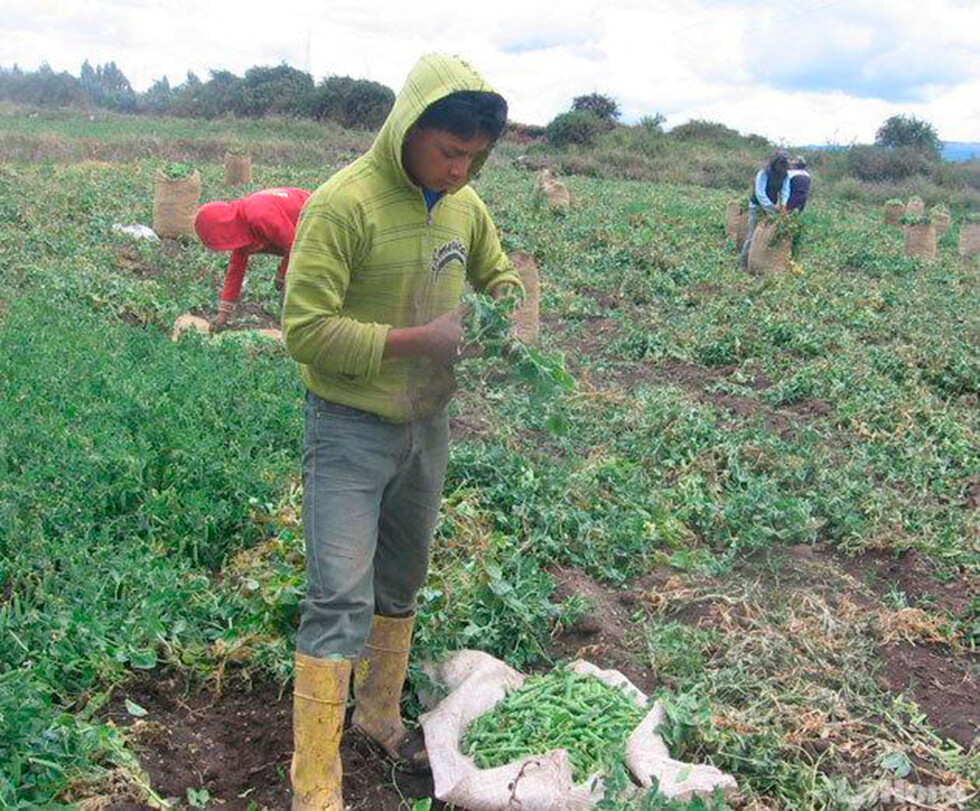 Campesinos y Gobernación no logran acuerdo por el Prosol