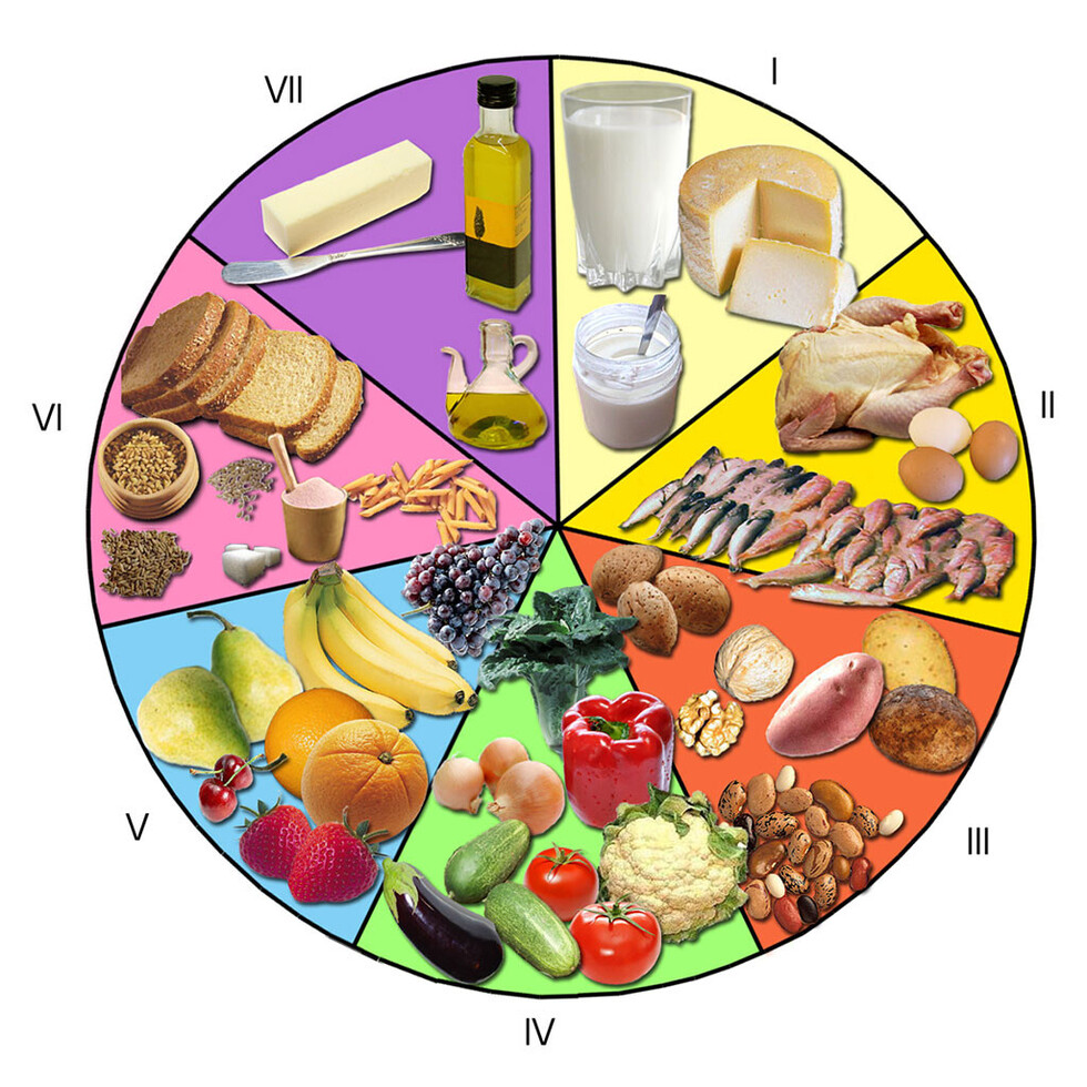 El equilibrio alimenticio