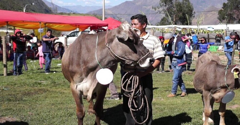 Ultiman detalles para la feria cultural de Caraparí