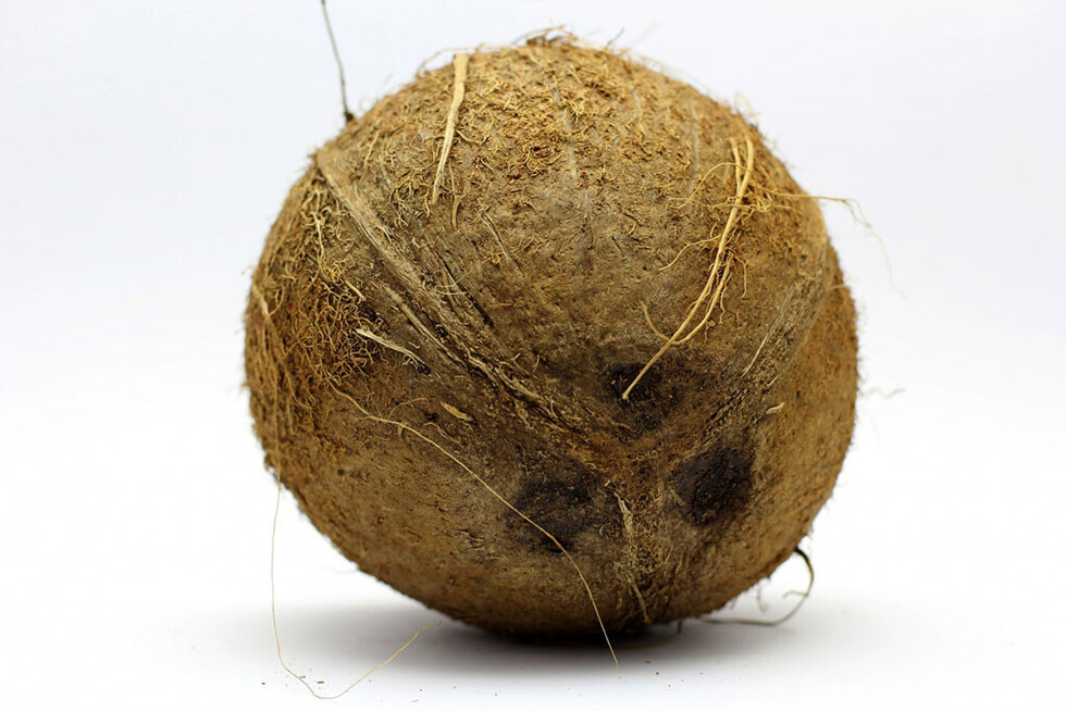 Los secretos del coco