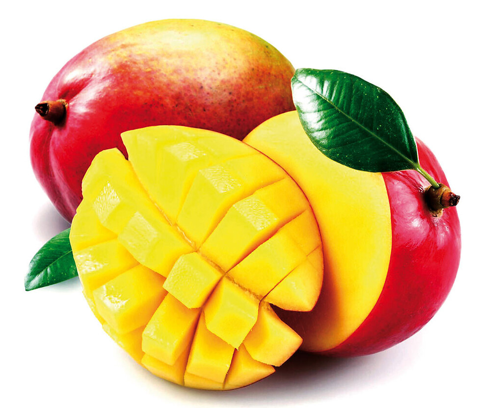 El mango y sus múltiples beneficios