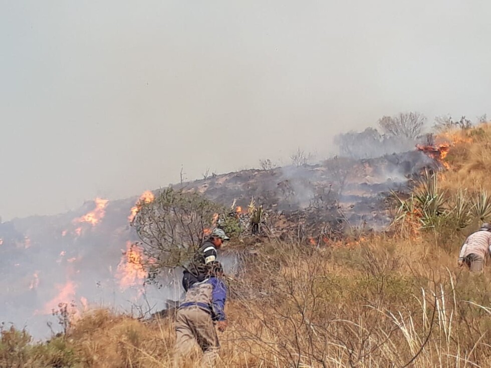 Fuego en Trancas consumió entre 100 a 150 hectáreas