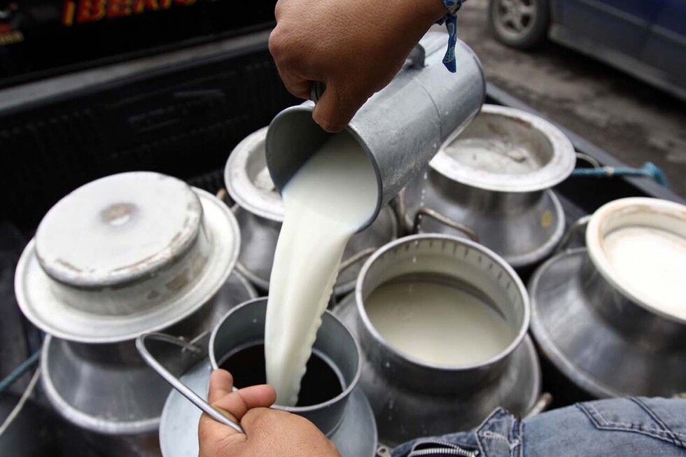 Productores protestan en demanda del incremento del precio de la leche