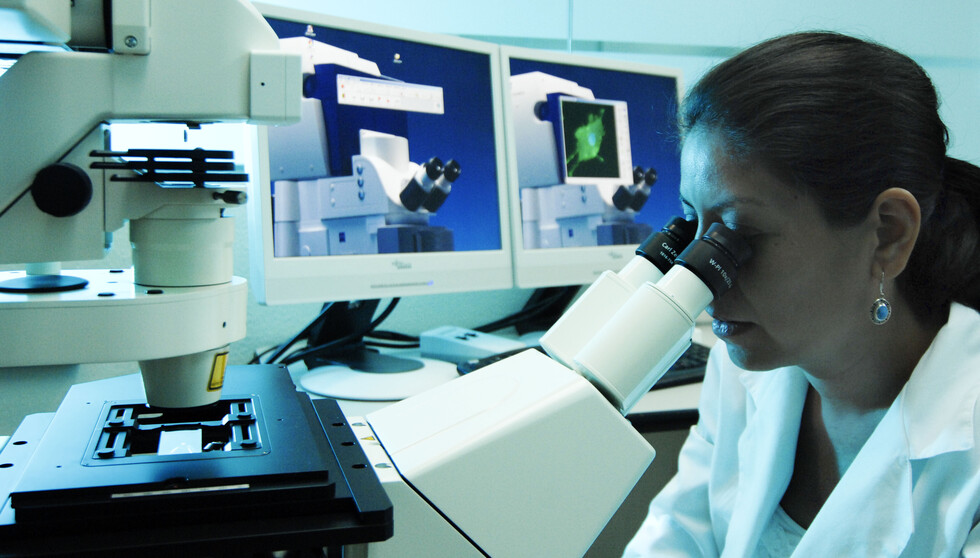 ¿Existen relaciones de poder en la ciencia mundial?