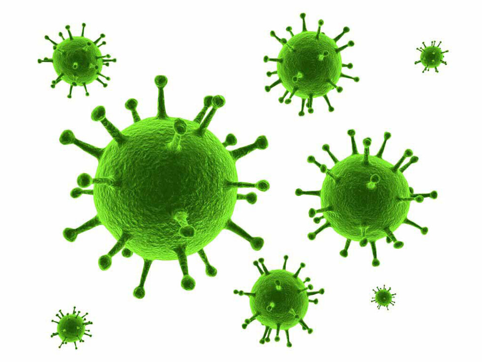 ¿Qué son las  bacterias?
