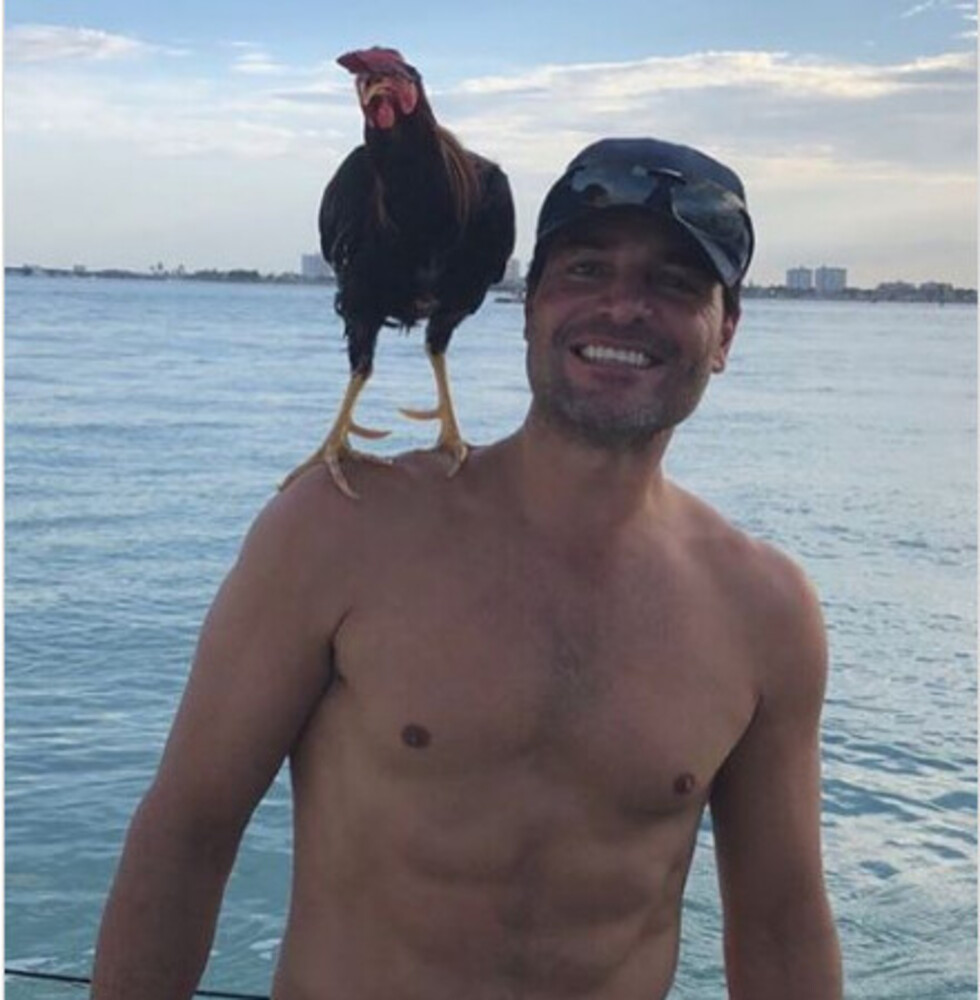 Chayanne y su pájaro prenden Instagram