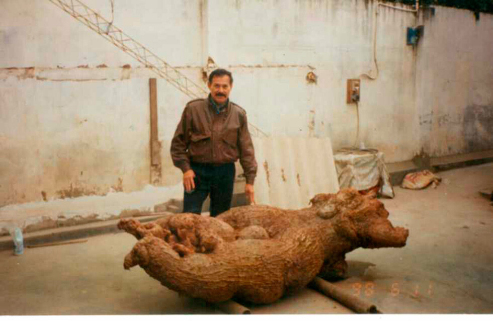 Las misteriosas leyendas que perviven en el Gran Chaco