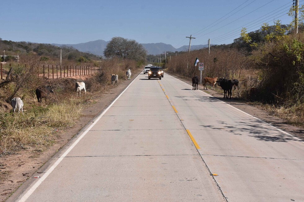 Presidente entrega asfaltado de vía Grampa-Yuquirenda-Cruce el Bagual en Yacuiba