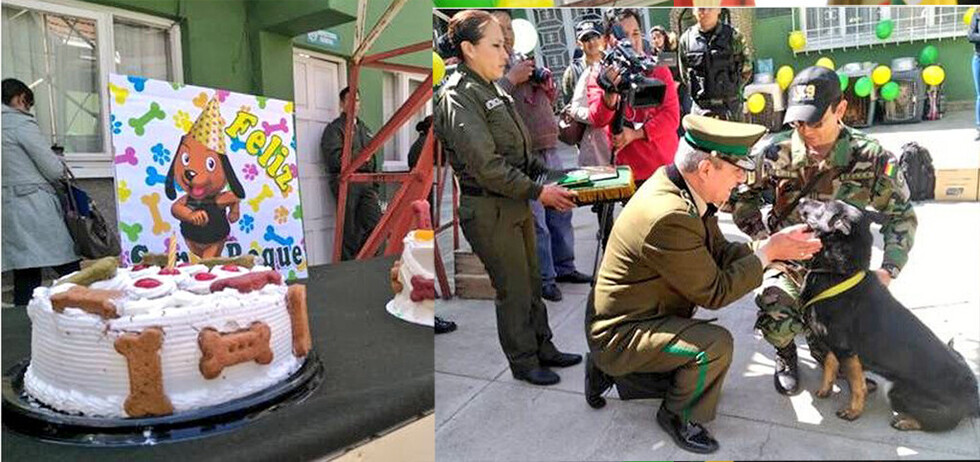 Policía agasaja y rinde homenaje a canes antidroga en el "Día de San Roque" (VIDEO)