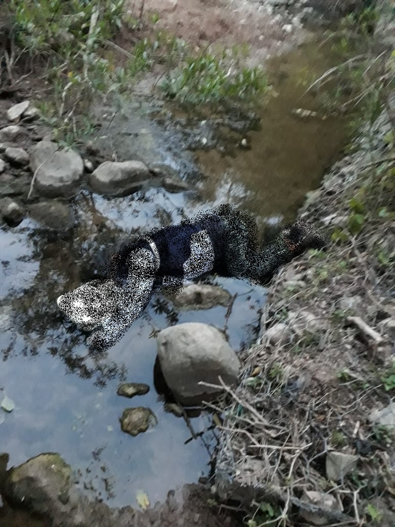 Investigan probable feminicidio en Caraparí