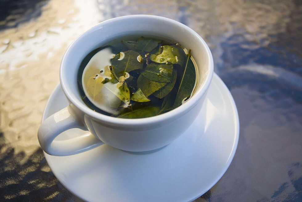 Beneficios del té  de coca