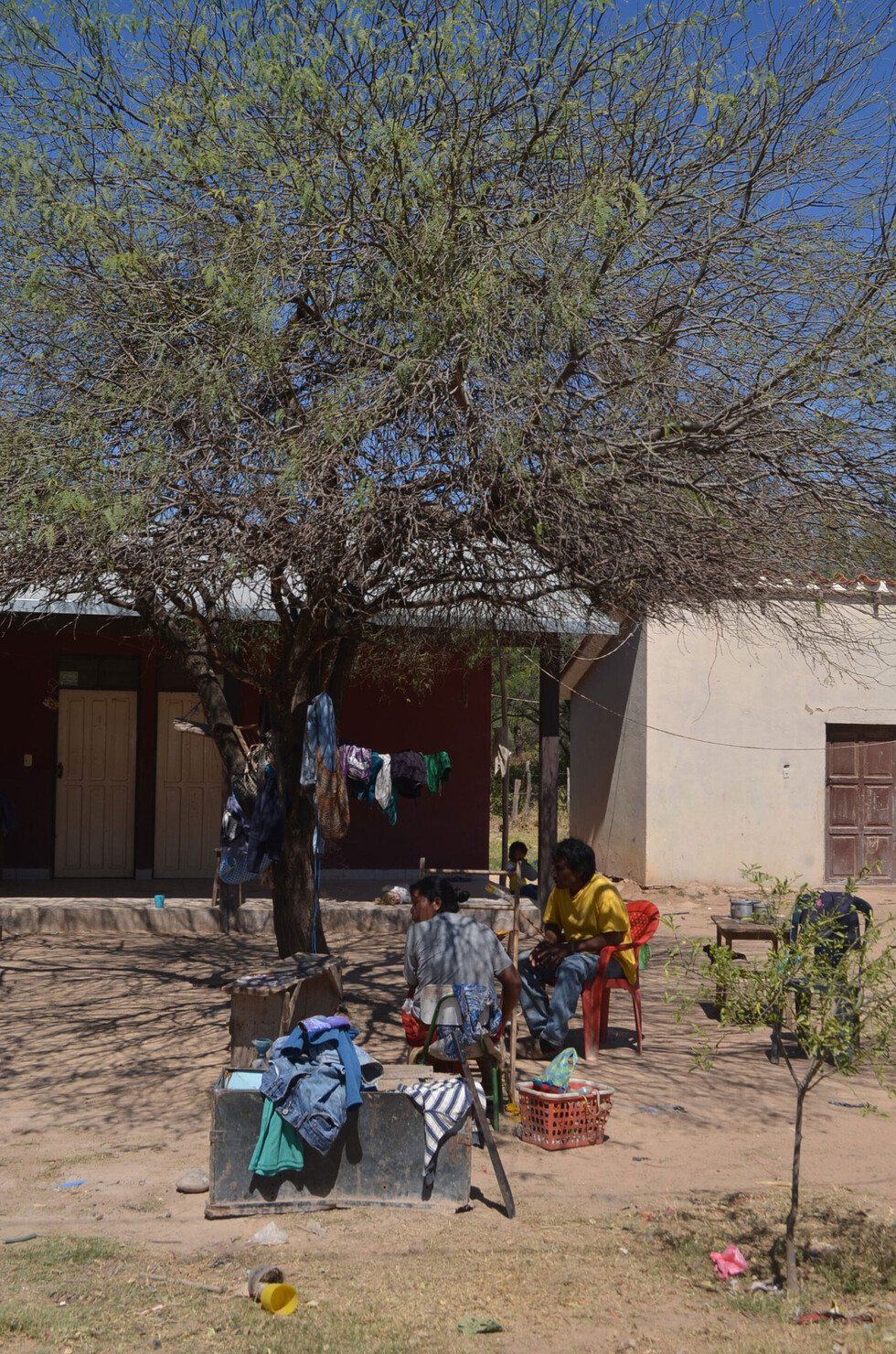 Algarrobo, la esperanza de los weenhayeks ante la crisis