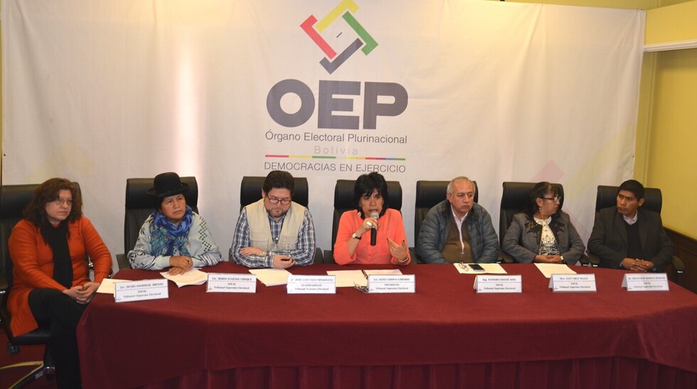 Conozca los 20 artículos observados por el TSE de la LOP