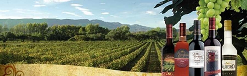 Washington Post destaca los vinos bolivianos