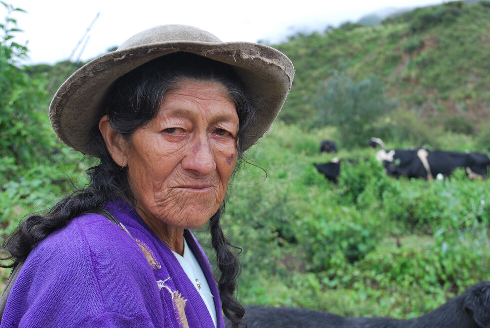Trabajar hasta morir, la ley de vida en Tarija